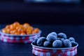 Macro frozen blueberry and sea buckthorn in lid