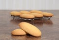 Macro giant lady finger cookies