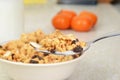 Macro granola raisin almond cereal with milk on a spoon Royalty Free Stock Photo