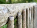 A macro of a gray wooden rail from a bridge at a botanical garden