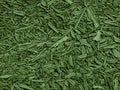 Spirulina background