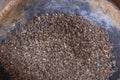 Macro ground black sage seed