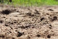 Macro ground perspective of a sandy road