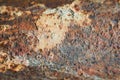 Grunge corrode rust iron oxidized metal textured background