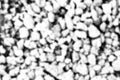 Macro Halftone Pebble Texture in Black and White Royalty Free Stock Photo