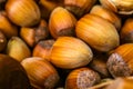 Macro of hazel nuts Royalty Free Stock Photo