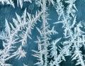 Macro Hoarfrost