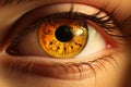 Macro human eye. Close-up, human eyes looking at the camera. Close up view of beautiful eye Royalty Free Stock Photo