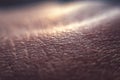 Macro of human skin texture. Dermatology pattern of healthy brown caucasian skin. Close up detail of skin Royalty Free Stock Photo