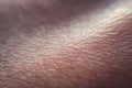 Macro of human skin texture. Dermatology pattern of healthy brown caucasian skin. Close up detail of skin Royalty Free Stock Photo