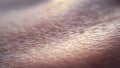 Macro of human skin texture. Dermatology pattern of healthy brown caucasian skin. Close up detail of skin Royalty Free Stock Photo