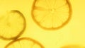 Macro image of backlit orange slice silhouettes