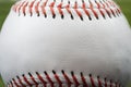 Macro image of a baseball with the closeup on the stitches with copy space Royalty Free Stock Photo