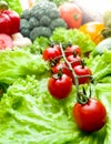 Macro image of beautiful branch of cherry tomatoes lying on fresh leaves of lettuce. Concept of healthy food and Royalty Free Stock Photo