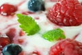 Macro image of berry fruit in yogurt