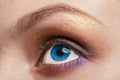 Macro image of blue woman eye Royalty Free Stock Photo