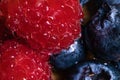 A Macro image of Blueberries and Raspberries with a deep depth o