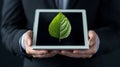 In a macro image, a business executive holds a tablet displaying a green leaf reflection, with space for text Royalty Free Stock Photo