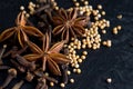 Macro Image of Clove,Star Anise and Mustard Seeds on Black Background Royalty Free Stock Photo