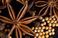 Macro Image of Clove,Star Anise and Mustard Seeds on Black Background Royalty Free Stock Photo