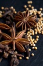 Macro Image of Clove,Star Anise and Mustard Seeds on Black Background Royalty Free Stock Photo