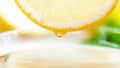 Macro image of droplet hanging on side of fresh lemon slice Royalty Free Stock Photo