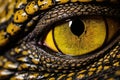 Macro image of an eye of a crocodile, extreme closeup, Close up of the yellow eye crocodile, AI Generated Royalty Free Stock Photo