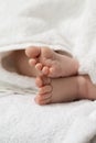 Macro Image of a Four Week Old Baby Boy Feet Over Heap of White Towes Royalty Free Stock Photo