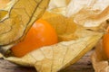 Macro image of fresh physallis berries