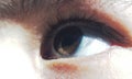 a macro image of a girlÃ¢â¬â¢s eye
