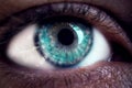 Macro image of human blue eye, close-up details Royalty Free Stock Photo