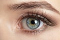 Macro image of human eye Royalty Free Stock Photo