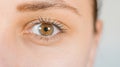 Macro image of human eye with contact lens. Woman`s eye close-up. Human eye with long eyelashes with mascara. Cosmetics Royalty Free Stock Photo