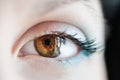 Macro image of human eye Royalty Free Stock Photo