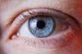 Macro image of human sad blue eye, close-up details Royalty Free Stock Photo