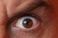 Macro image of human sad brown eye, close-up details Royalty Free Stock Photo