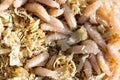 Macro image of maggot fly larva in a can with sawdust. Fishing bait