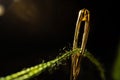 Macro image of a needle eye threaded with piece of green thread on black background. Steel shiny tailor's needle Royalty Free Stock Photo