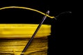 A macro image of a needleÃ¢â¬â¢s eye threaded with a piece of yellow thread on a field of solid black. The needle is entrapped in