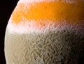 Macro image of orange with mould Royalty Free Stock Photo