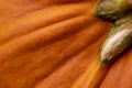 Macro image of orange pumpkin for background or texture Royalty Free Stock Photo