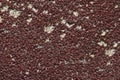 Macro image of sandpaper with chunks of wooden shavings stuck in a texture Royalty Free Stock Photo