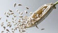 A macro image of seeds scattered as they fall from a milkweed pod. Royalty Free Stock Photo