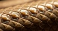 Macro shot of snake skin shedding, fine scale patterns peeling, reptile abstract style, Ai generated image Royalty Free Stock Photo