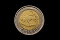 South African Five Rand Coin Isolated On Black