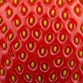 Macro image of a strawberry surface displaying a pattern of seeds (achenes) Royalty Free Stock Photo