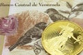 A tan hundred Bolivar note from Venezuela with a gold coin in macro Royalty Free Stock Photo