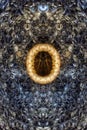 Macro image of a textile material symmetricaly reflected Royalty Free Stock Photo