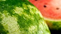 Macro image of water droplets on ripe watermelon. Abstract background of fruits and berries