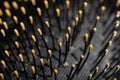 Macro image of a well used hairbrush bristles Royalty Free Stock Photo